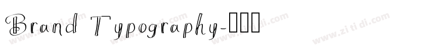 Brand Typography字体转换 Brand Typography字体转换